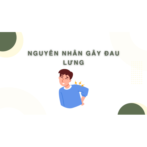 1. Nguyên nhân gây đau lưng