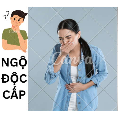 Nguyên Tắc Xử Trí Ngộ Độc Cấp