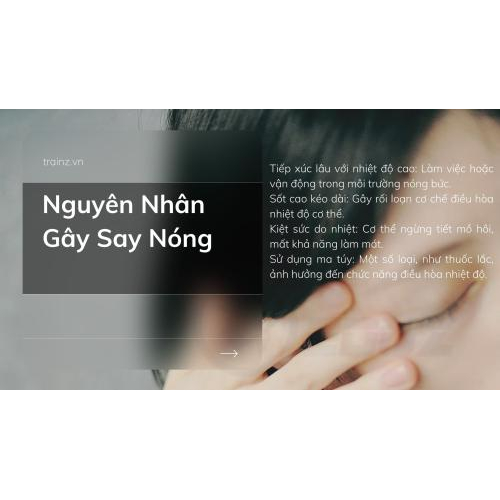 2. Nguyên Nhân Gây Say Nóng