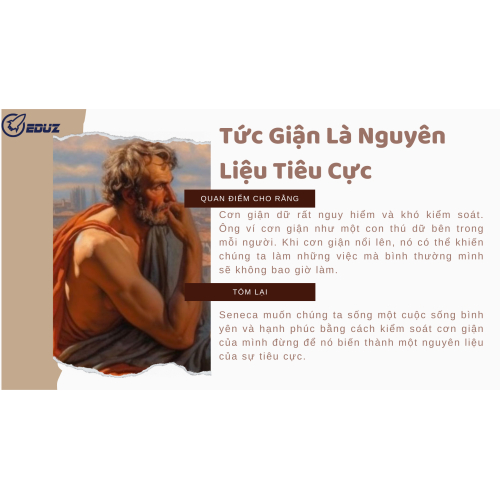 2. Quan điểm của tác giả