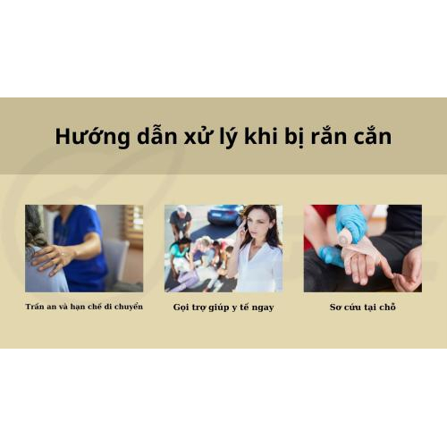 4. Hướng dẫn xử lý khi bị rắn cắn