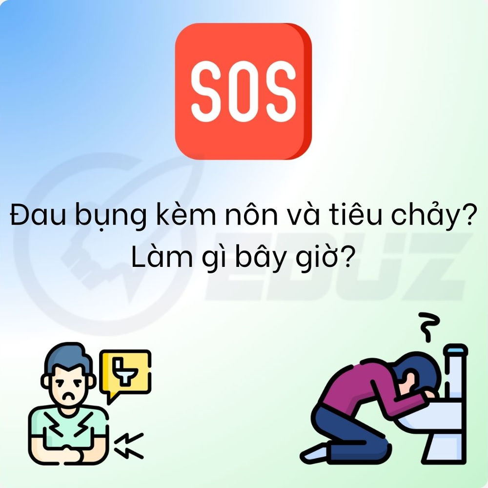 Sơ Cứu Thường Thức – Nôn Và Tiêu Chảy