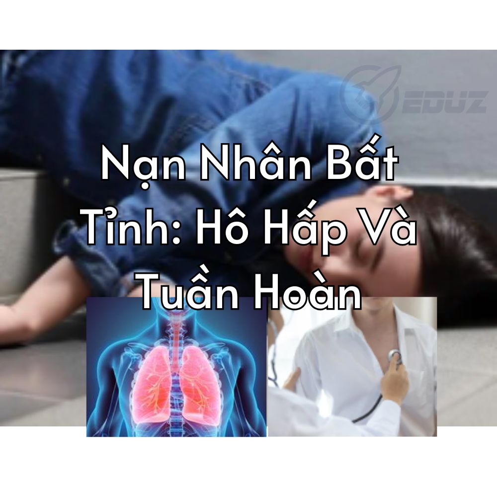 Nạn Nhân Bất Tỉnh: Hô Hấp Và Tuần Hoàn