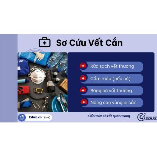 1. Sơ cứu vết cắn