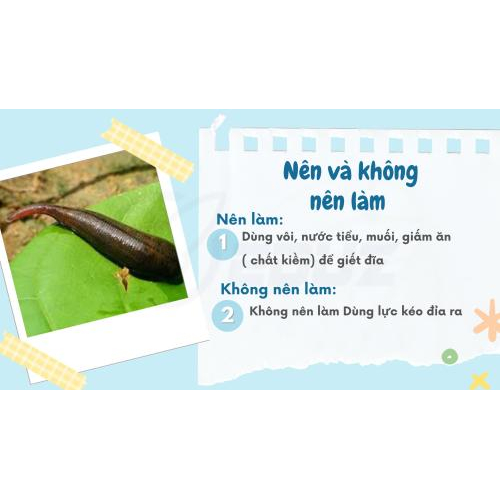 3. Những Điều Nên Và Không Nên Làm