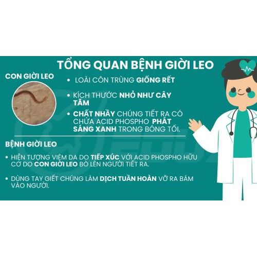 1.Tổng quan về bệnh giời leo