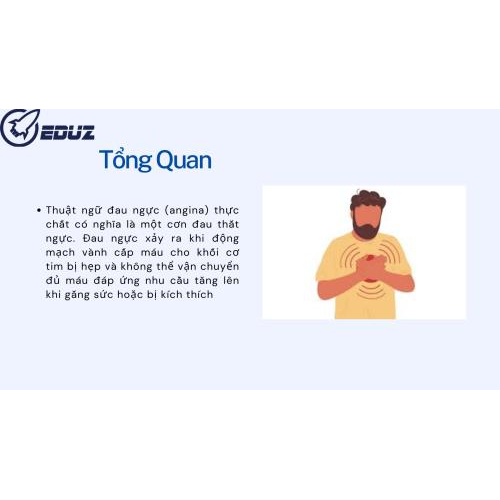 1.Tổng quan