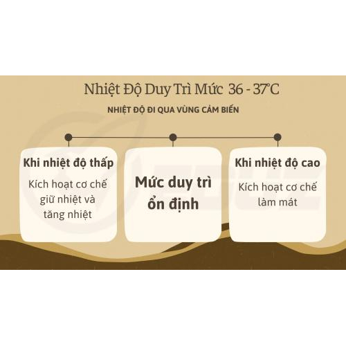 3/ Duy Trì Nhiệt Độ Cơ Thể