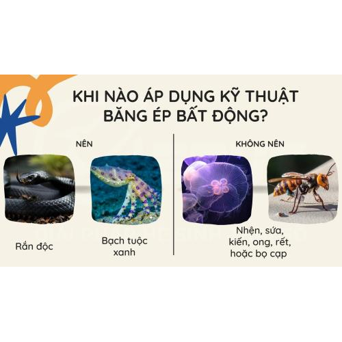 2. Khi nào áp dụng kỹ thuật băng ép bất động?