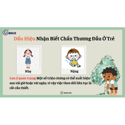 3. Dấu Hiệu Nhận Biết Chấn Thương Đầu Ở Trẻ