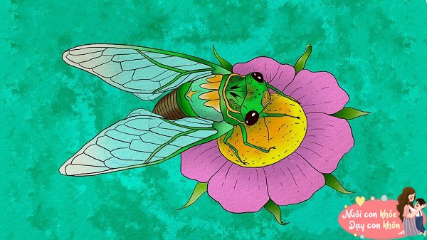 Nếu Ve Sầu có cơ hội làm lại từ đầu, bạn nghĩ cậu ấy sẽ thay đổi hành vi như thế nào? Và bạn có thể rút ra bài học gì từ điều này cho bản thân?