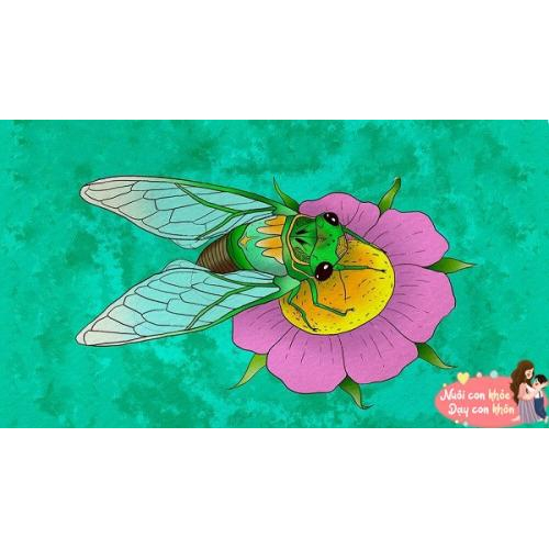 Nếu Ve Sầu có cơ hội làm lại từ đầu, bạn nghĩ cậu ấy sẽ thay đổi hành vi như thế nào? Và bạn có thể rút ra bài học gì từ điều này cho bản thân?