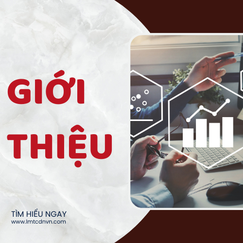 Giới Thiệu Về Liên Minh Tài Chính Doanh Nhân Việt Nam