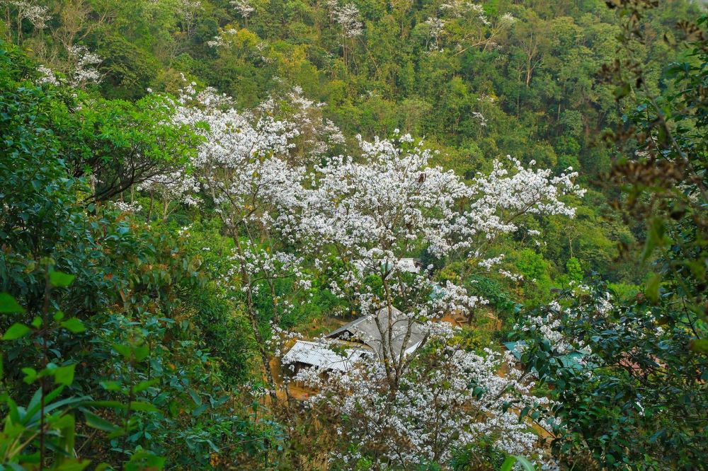 Trong những năm qua