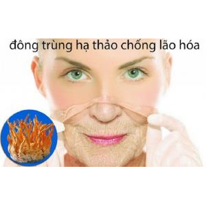 Tác dụng chống lão hóa