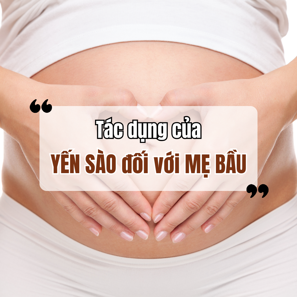 Tác Dụng Của Yến Sào Đối Với Mẹ Bầu