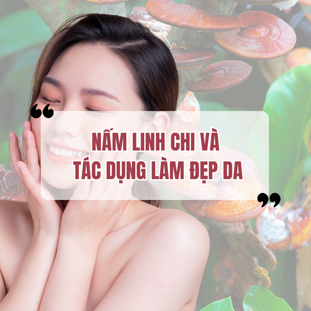 Nấm Linh Chi Và Tác Dụng Làm Đẹp Da