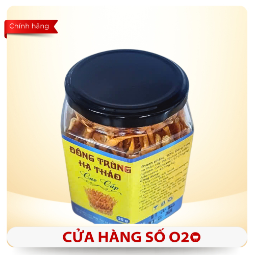 Đông Trùng Hạ Thảo Cao Cấp