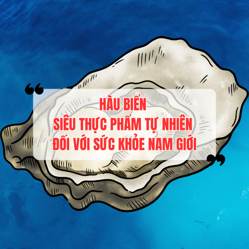 Hàu Biển - Siêu Thực Phẩm Tự Nhiên Đối Với Sức Khỏe Nam Giới