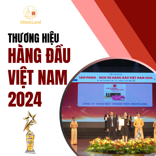 Khẳng Định Thương Hiệu ANestLand Với Chứng Nhận Sản Phẩm Hàng Đầu Việt Nam 2024