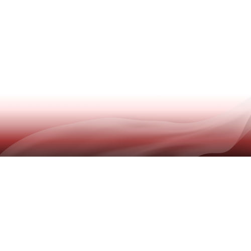 Banner Footer Anest
