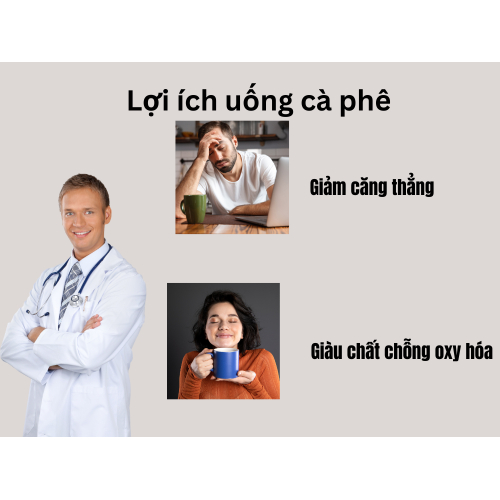 Giàu chất chống oxy hóa