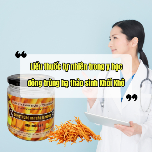 Liều Thuốc Tự Nhiên Trong Y Học Đông Trùng Hạ Thảo Sinh Khối Khô