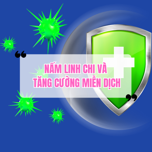 Nấm Linh Chi Giúp Tăng Cường Miễn Dịch Như Thế Nào?