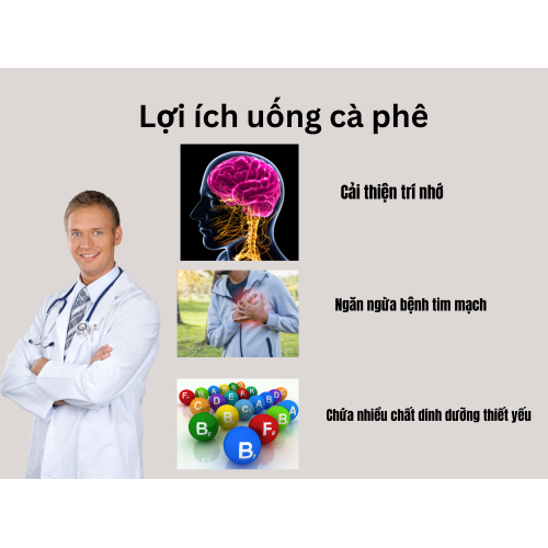 Chứa nhiều chất dinh dưỡng thiết yếu