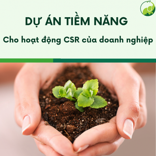 Dự Án Tiềm Năng Cho Hoạt Động CSR Của Doanh Nghiệp