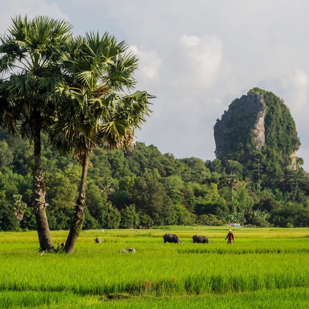 Chia sẻ cách tạo banner = Canva + Cho Ms Trâm