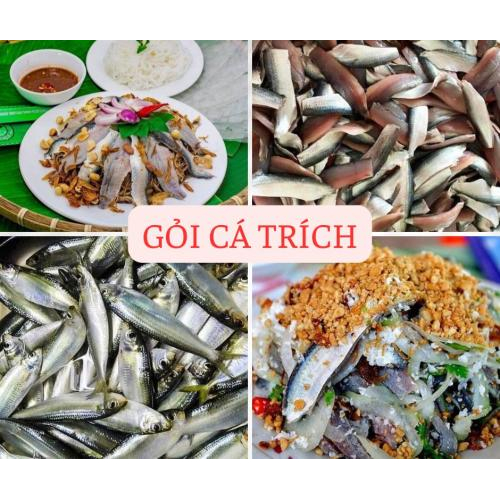 Gỏi Cá Trích